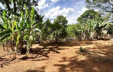 Imagem 6: Sítio à venda em Igarapé/MG - 2.000 m² com casa, piscina e pomar