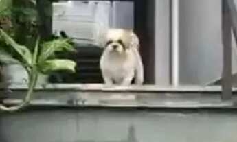 Imagem 4: Sobrado em Rua Américo Vespucci - Vila Prudente - São Paulo/SP