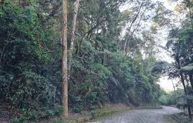 Imagem 2: Terreno Serra da Cantareira - Jardim da Montanha
