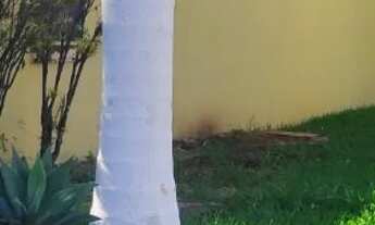 Imagem 3: Área para venda possui 9.500 metros quadrados em Parque Amazônia - Goiânia - GO