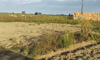 Imagem 2: Vendo 2 terrenos na zona rural de Campos dos Goytacazes a 100 metros do asfalto