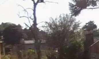 Imagem 3: Terreno com casa em santo Augusto!