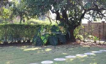 Imagem 5: Casa - Xingú - Paulínia