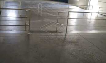 Imagem 5: Comercial Galpão em Bauru