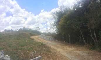 Imagem 5: Loteamento CHÃ GRANDE COUNTRY LIFE