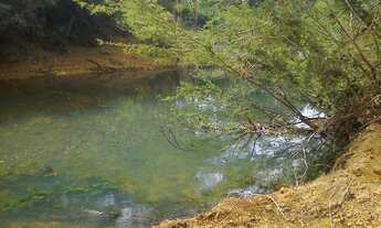 Imagem 3: Chacara de 2300 metros com muita agua 9 * WhtsAAP