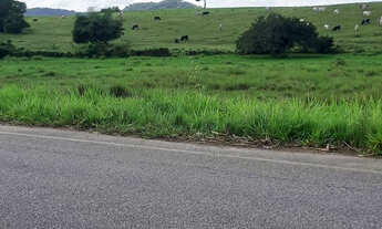 Imagem 5: Fazenda próximo BR 324 localizada em Terra Nova