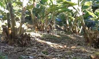 Imagem 7: Sítio.!! st446 Chácara com venda por R$169.000