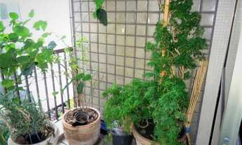 Imagem 3: Rio de Janeiro - Apartamento Padrão - Jardim Botânico