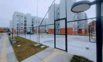 Imagem 5: Apartamento Padrão em Pelotas