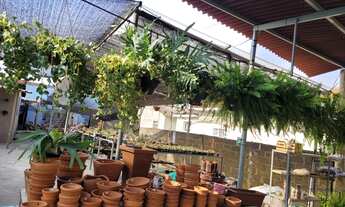 Imagem 2: Vendo Floricultura/Garden