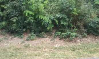 Imagem 2: NOVA LIMA - Loteamento/Condomínio - Cond. Arvoredo