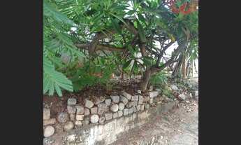 Imagem 3: Casa para venda com 100 metros quadrados com 3 quartos em Higienópolis - Rio de Janeiro