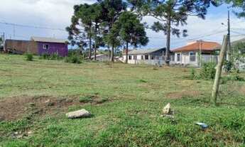 Imagem 4: TERRENO A VENDA EM LAGES