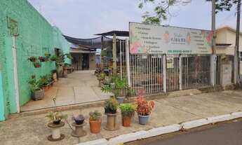 Imagem: Vendo Floricultura/Garden