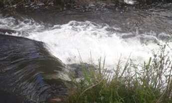 Imagem 5: Fazenda na região da gendiba em Itagi-ba
