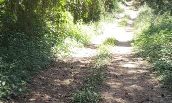 Imagem: Sítio em Edilândia GO