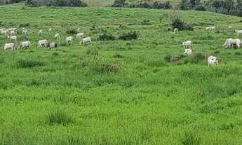 Imagem: . Fazenda 125 alqueires a 72 Km da capital