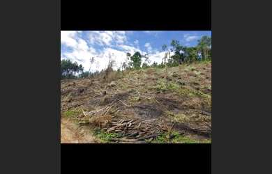 Imagem 6: Sítio 26.000 m2 em Jarinu, bairro Campo Largo