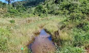 Imagem 5: Fazenda Em Mutuipe Cacau, Capim E Pasto