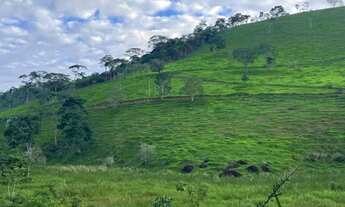 Imagem 2: Sítio Chácara com venda por R$400.000