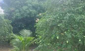 Imagem 4: Vende- Se uma Chácara um Pedaço do Paraiso