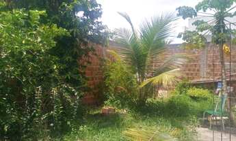 Imagem 6: Terreno murado com casa para finalizar