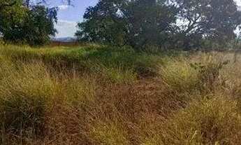 Imagem 7: Lote / Terreno à venda em Igarapé