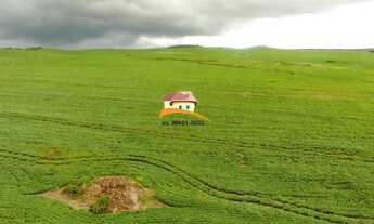 Imagem 6: Fazenda para Venda, Região produtora consolidada