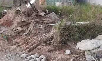 Imagem 5: Terreno palhoça próximo ao rodonél