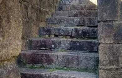 Imagem 2: Terreno em Tristeza