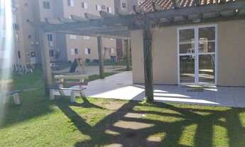 Imagem 6: PELOTAS - Padrão - Areal