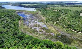 Imagem 6: Área de 40.000m² para venda em Jequiá da Praia - AL