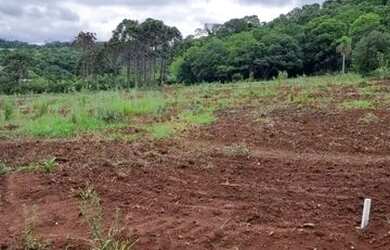 Imagem 2: Chacara 1.000 metros no chão batido. Faço preço no dinheiro e aceito carro no negocio