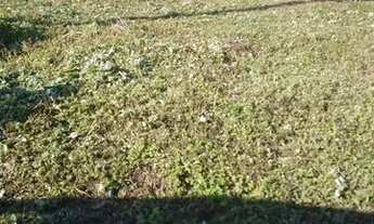 Imagem 1: Terreno quadra "C" Magisterio