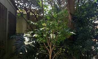 Imagem 4: Ótimo sobrado! Casa com 4 dormitórios