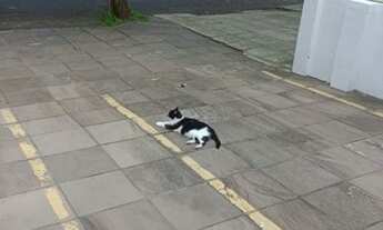 Imagem 4: Linda casa Comercial