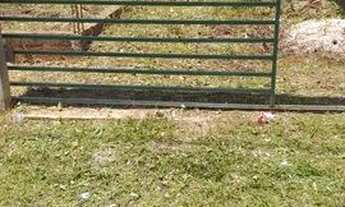 Imagem 3: Terreno centro comercial Salinas