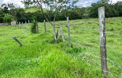 Imagem 5: LL-Vende-se terreno com ótima topografia