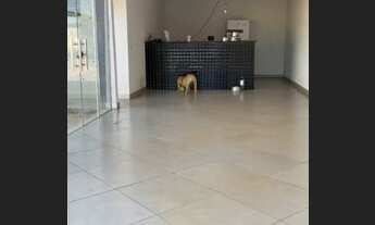 Imagem 4: Oportunidade casa com piscina ponte alta