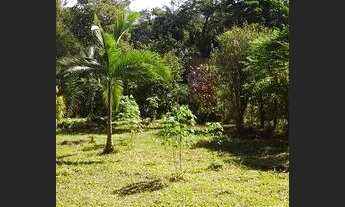 Imagem: Aluguel de terreno - Vargem Grande