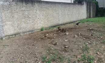 Imagem 5: Lote / Terreno à venda em Serra