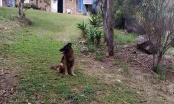 Imagem 3: Sitio a venda Chácara com venda por R$850.000