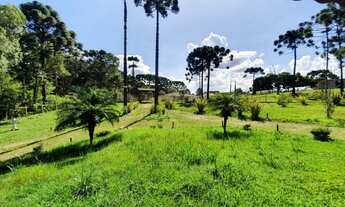 Imagem 5: CHÁCARA Chácara com venda por R$1.200.000