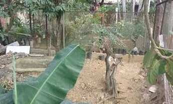 Imagem 2: Terreno Terreno / lote com venda por R$65.000