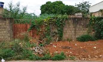 Imagem: Lote 360,00m² (Murado, Asfalto, Agua e