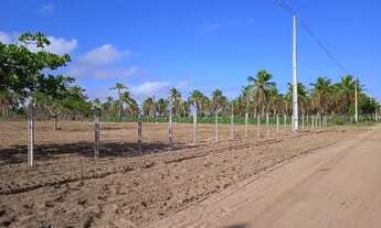 Imagem 4: Oportunidade - Vilaggio dos coqueiros