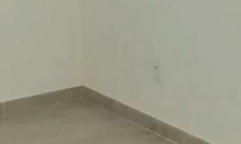 Imagem 4: Aluga se casa.. Casa com 2 dormitórios