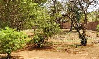 Imagem 4: Chácara Próxima a Brazlândia