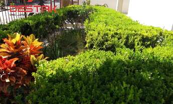 Imagem 4: Residencial - Vila Sao Paulo